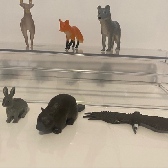 K&M North American Animal Lot Moose Beaver Deer Fox Eagle Cougar Raccoon Bundle - Picture 5 of 6